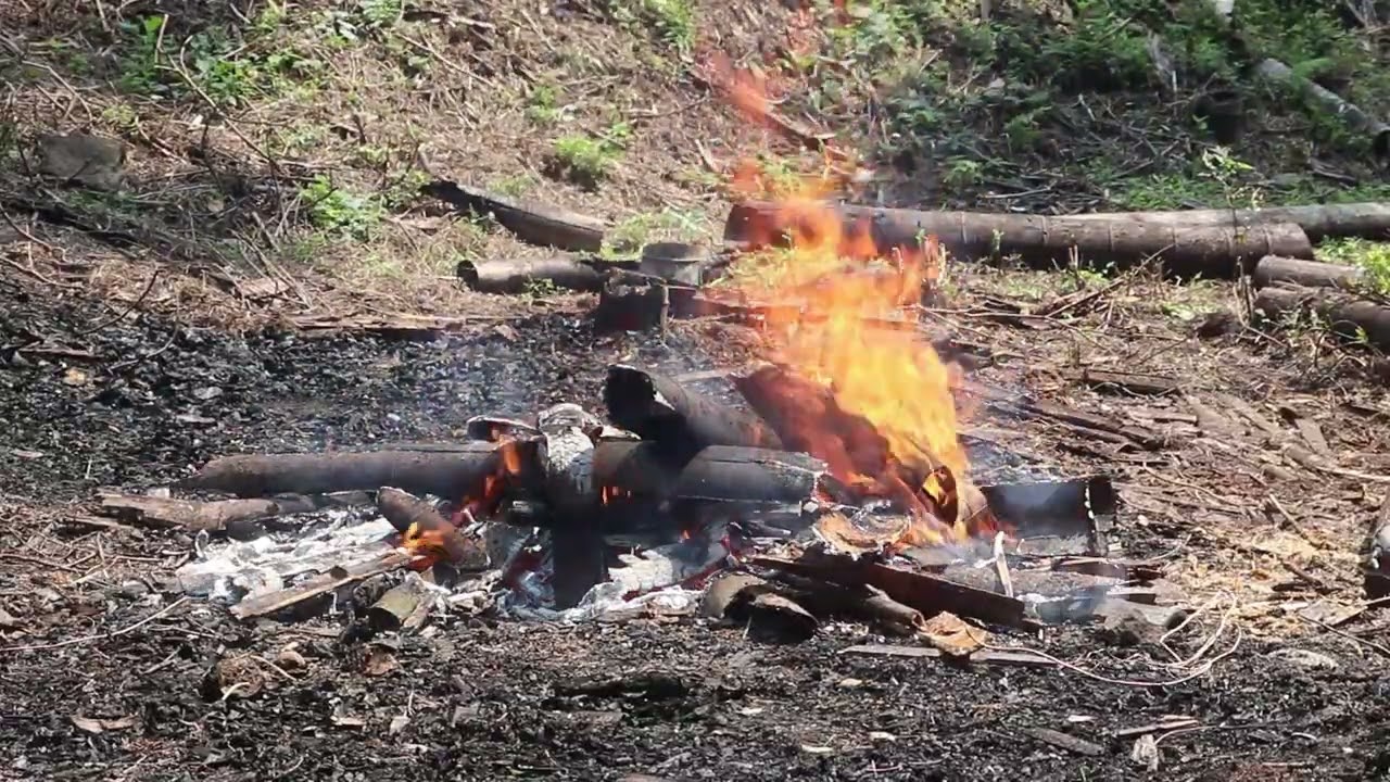倍速で一気に焼却作業や草刈作業を進めて気持ちよくなる｜畑作り