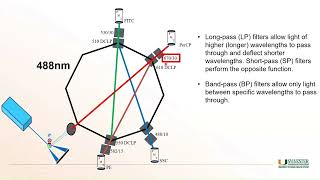 Flow Cytometry