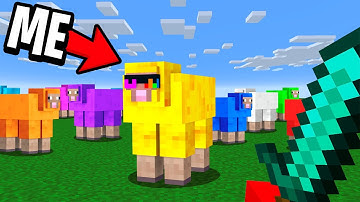 Modded Animal Hide and Seek In Minecraft