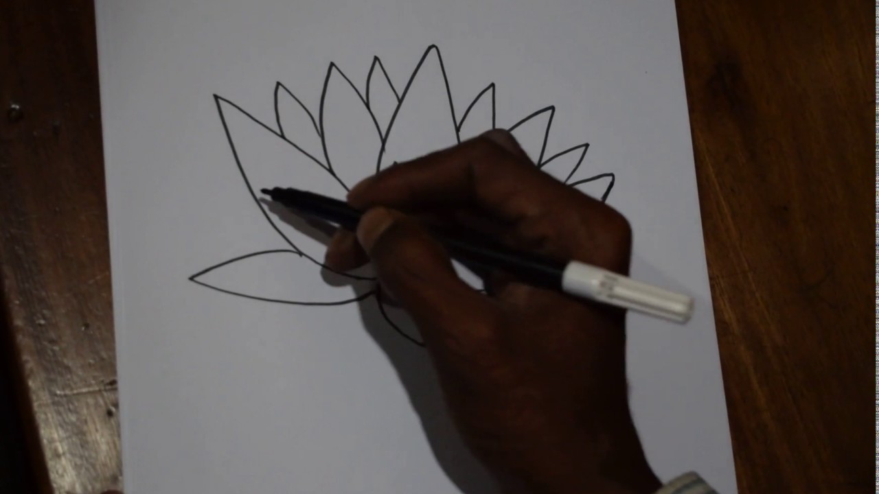 How To Draw National Flower YouTube