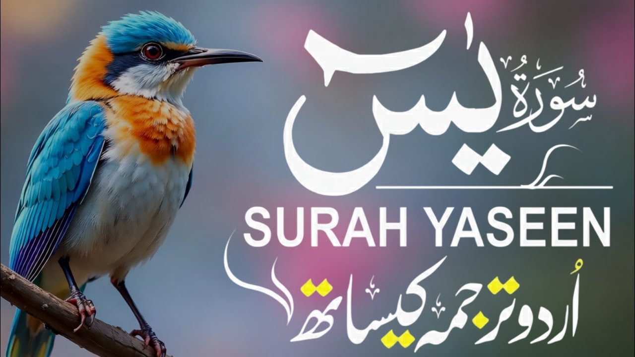 Surah Yaseen With Urdu Translation By Qari Mansoor Ghaznawi I Urdu And Hindi Tarjuma Episode 180