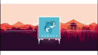 Gym Class Heroes - Stereo Hearts (SebassDuck Remix) [Free Download]