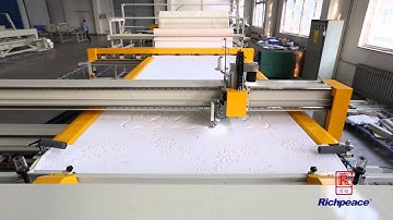 Richpeace wonderful videos（Richpeace Computerized Automatic Single Head Quilting Machine ）