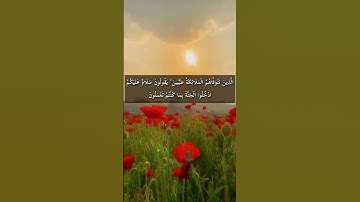 #سورة_النحل الَّذِينَ تَتَوَفَّاهُمُ الْمَلَائِكَةُ طَيِّبِينَ ۙ يَقُولُونَ سَلَامٌ عَلَيْكُمُ