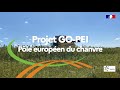 Projet gopei ple europen du chanvre