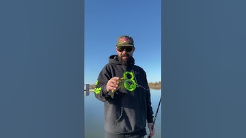 Lil Chorizo introduction and product description