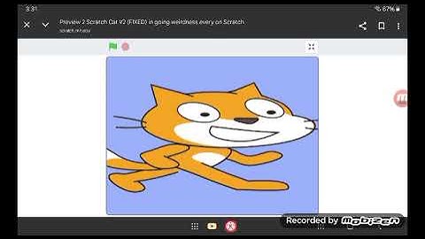 Preview 2 Scratch Cat Going weirdness every