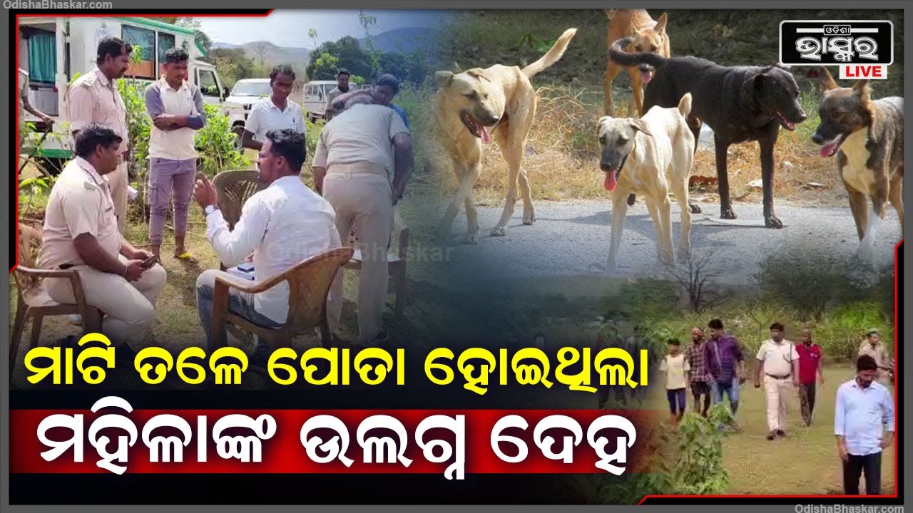 ଦୁର୍ଗନ୍ଧ ହେଲା, ମାଟି ଖୋଲି କୁକୁର ବାହାର କରି ଆଣିଲା... ଏପର୍ଯ୍ୟନ୍ତ ମହିଳାଙ୍କ ପରିଚୟ ମିଳିପାରିନାହିଁ...