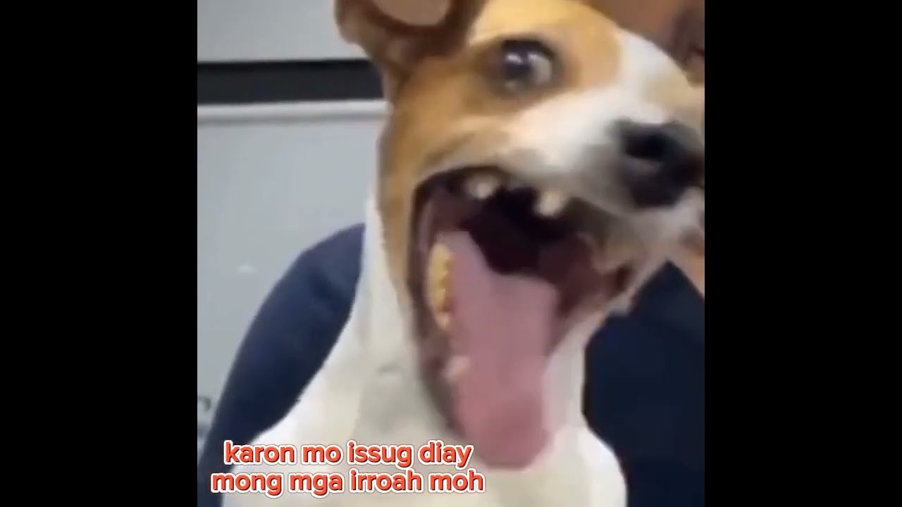 mga issug pero ug actionan modagan 
