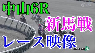 12/3 中山6R 新馬戦 レース映像