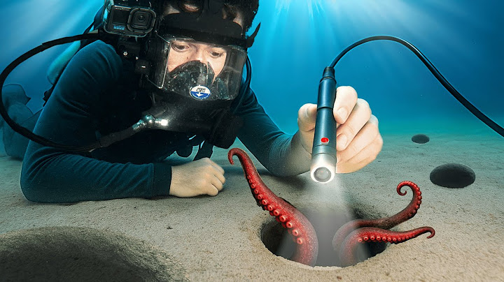 I Sent a Micro Camera Down 100 Holes on the Ocean Floor