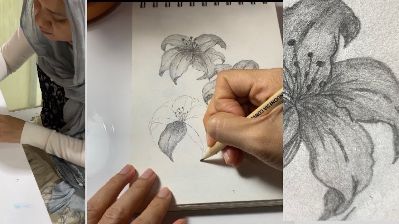 How to Draw Lily flower Step by Step | Easy Flower Drawing