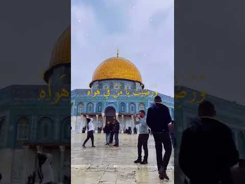 والعيش ك م ي ح لو ه ن اك