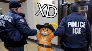 Si Te Ries Pierdes Nivel Dios Momentos Magicos En Latam