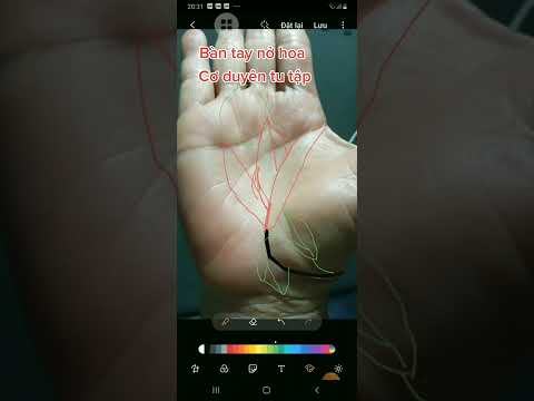Video Bàn tay nở hoa - Cơ duyên tu tập - youtube