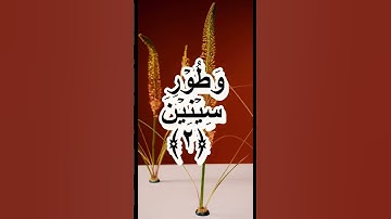 Surah At Tin (سورة التين) with Urdu Translation Part-1