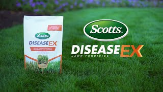 How to Prevent and Control Disease in Your Lawn Using Scotts® DiseaseEX™ Lawn Fungicide