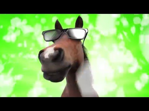 funny-horse-video-greeting