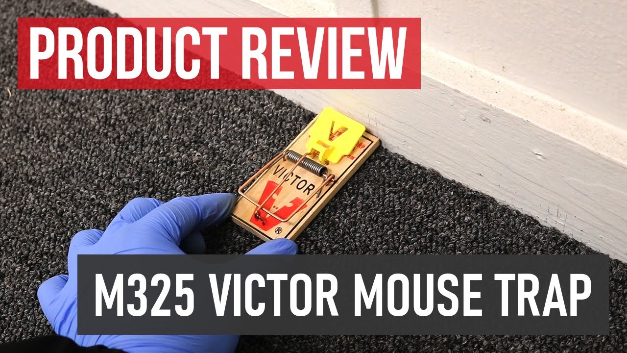 12 Traps Victor Mouse Trap M325 