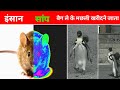 सांप को कैसा दिखाई देता है ? | #shorts #youtubeshorts #viralshorts #ytshorts