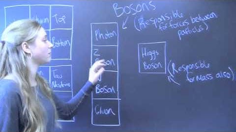 Elementary Particle Video