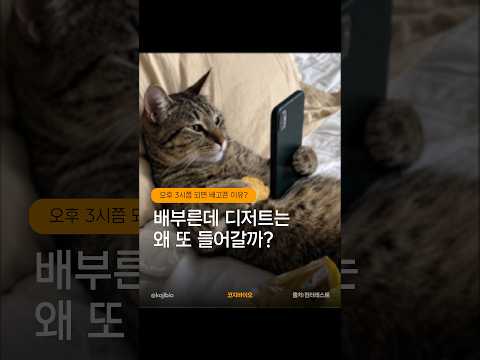 배부른데 디저트는 또 왜 들어갈까? YouTube 썸네일
