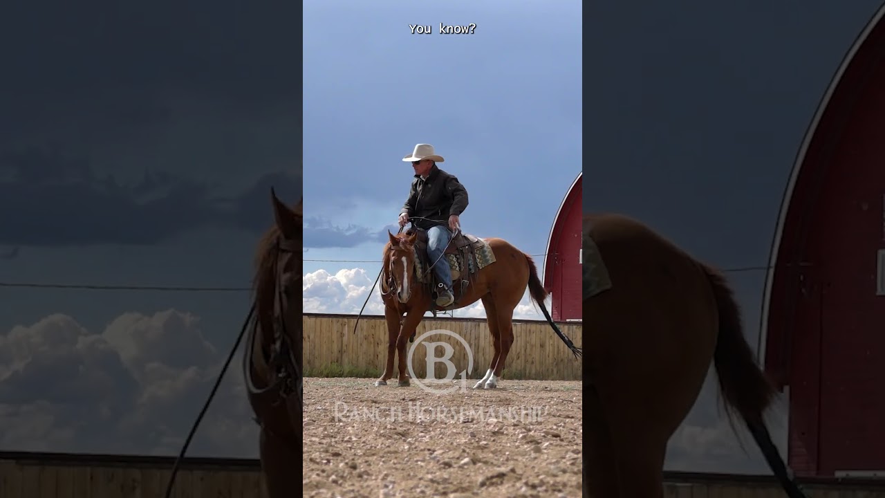 Fillies get distracted   a lot!