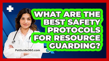 What Are The Best Safety Protocols For Resource Guarding? - PetGuide360.com