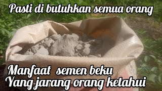 Sering di buang karna tak tau manfaat semen beku || ini manfaat lain semen beku untuk pupuk tanaman