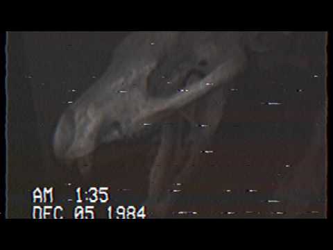 YouTube에서 CUTTERS - Fade to Black [OFFICIAL MUSIC VIDEO] 보기