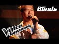 The Beatles - Here Comes The Sun (Duc-Nam Trinh) | The Voice of Germany | Blind Audition