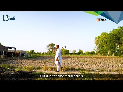 Dilawar Waheed's Success Story: Empowering Livestock Business Growth with U Bank