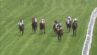 Race 3 Master 2026 06 06