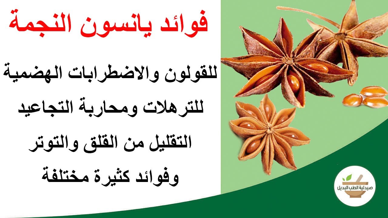 فوائد اليانسون النجمي