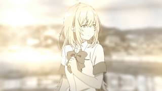Phantasm of You | AMV | with Liar
