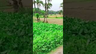 গ্রাম ছাড়া ওই রাঙামাটি পথ...............ES tv #EStv