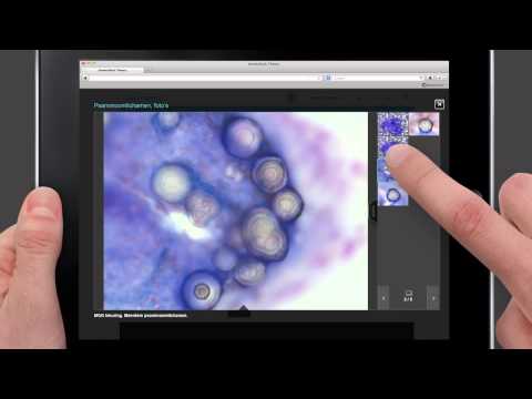 New! Virtual Cytopathology Academy | Doczero e-Learning