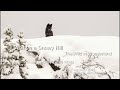 Wolf on a Snowy Hill