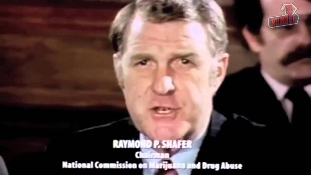 Медицинская марихуана и ее воздействие на здоровье человека - YouTube