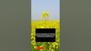 How can we balance land use for agriculture and conservation #environment#agriculture#land#facts