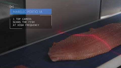 Intelligent Portion Cutter Fish - PORTIO 1A