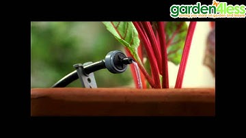 Hozelock Aqua Pod Automatic Watering System