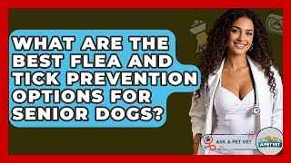 What Are The Best Flea And Tick Prevention Options For Senior Dogs? - Ask A Pet Vet
