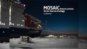 MOSAiC Science lectures - Arctic Sea Ice Ecology