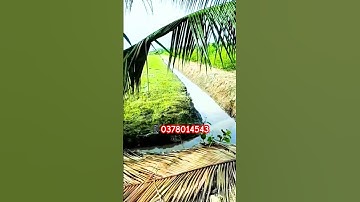 #batdongsan #datgiare #nhadep #bdscangiuoclongan #bán_đất_mặt_tiền #datnengiare