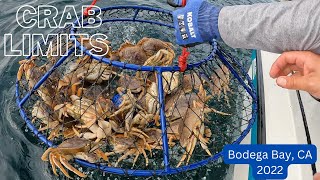 3 Limits of Dungeness Crab in 1 Pull  Crabbing Bodega Bay 2022