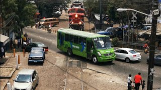 El tren no pitó! Terrible situación con los salvajes...