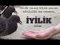 İyiliği Yalnız İyiler Anlar | İbrahim Soydan Erden