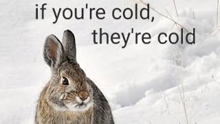 Download Lagu if you're cold, they're cold MP3 Download Lagu if you're cold, they're cold MP3
