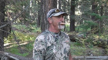 Predator Call - Instructional video using the Dominator Game Call